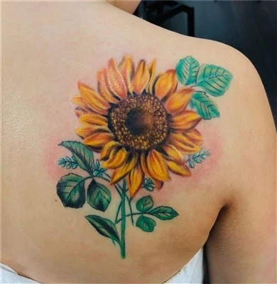 tatuatore sei